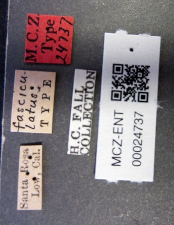Media type: image;   Entomology 24737 Aspect: labels